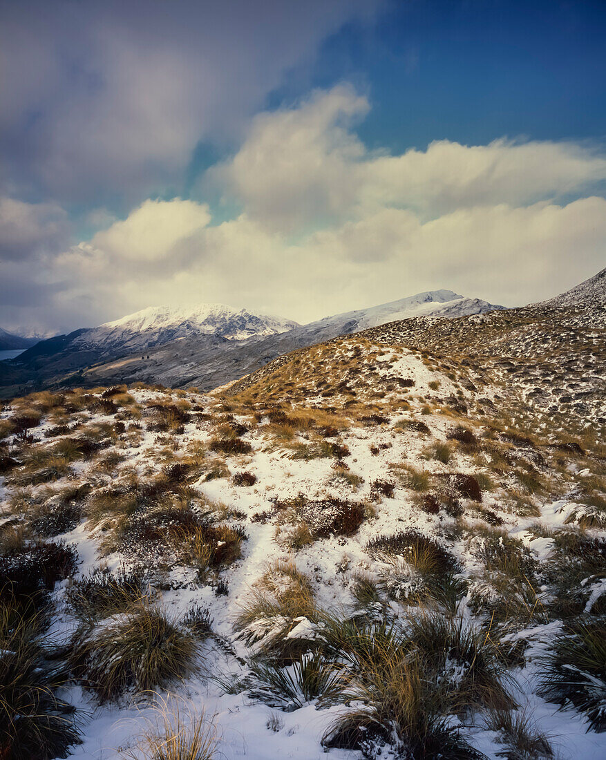 Schneebedecktes Grasbüschelland und Hügel auf der Südinsel - Neuseeland