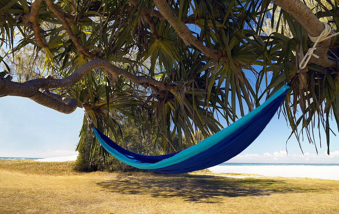 Hängematte, die unter tropischem Baum am Strand hängt