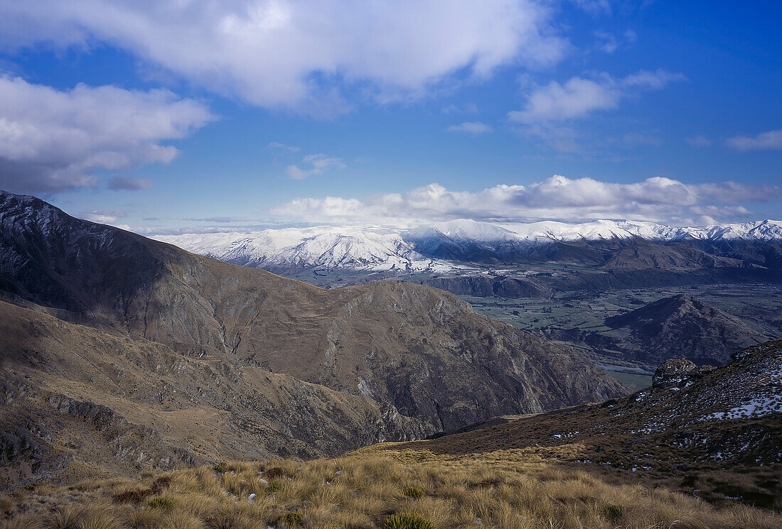 Schneebedeckte Südalpen mit Tussock bedeckten Hügeln im Vordergrund - Neuseeland
