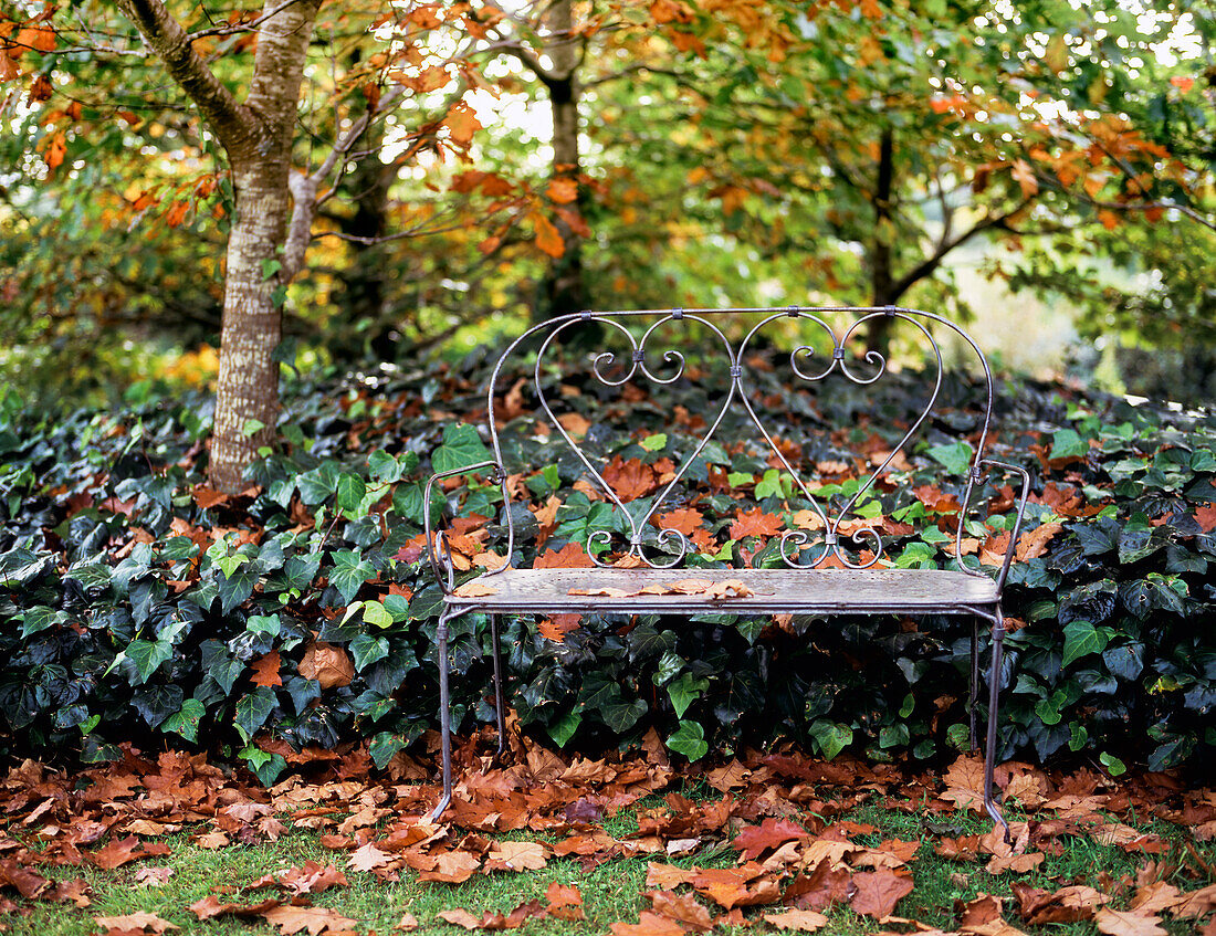 Leerer Metallsitz zwischen Efeu und abgefallenen Blättern von Eichen im Herbst