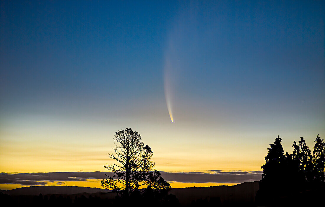 Comet McNaught in the sky at sunset traveling over trees and hills