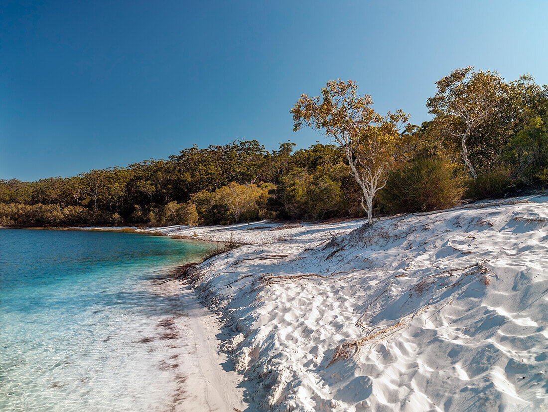 Unberührtes Wasser des Lake McKenzie auf Fraser Island, Queensland, Australien