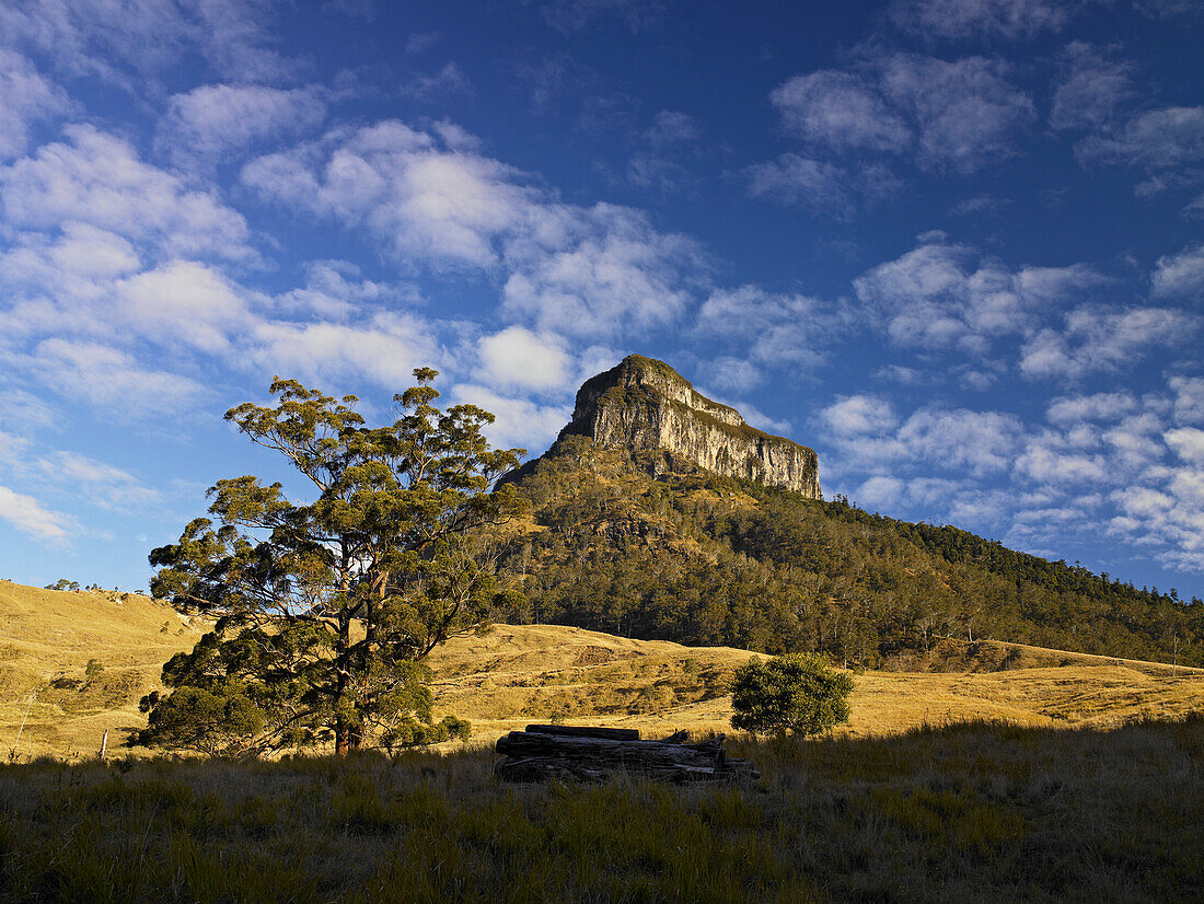 Mount Lindesay gegen blauen Himmel mit Bäumen im Vordergrund