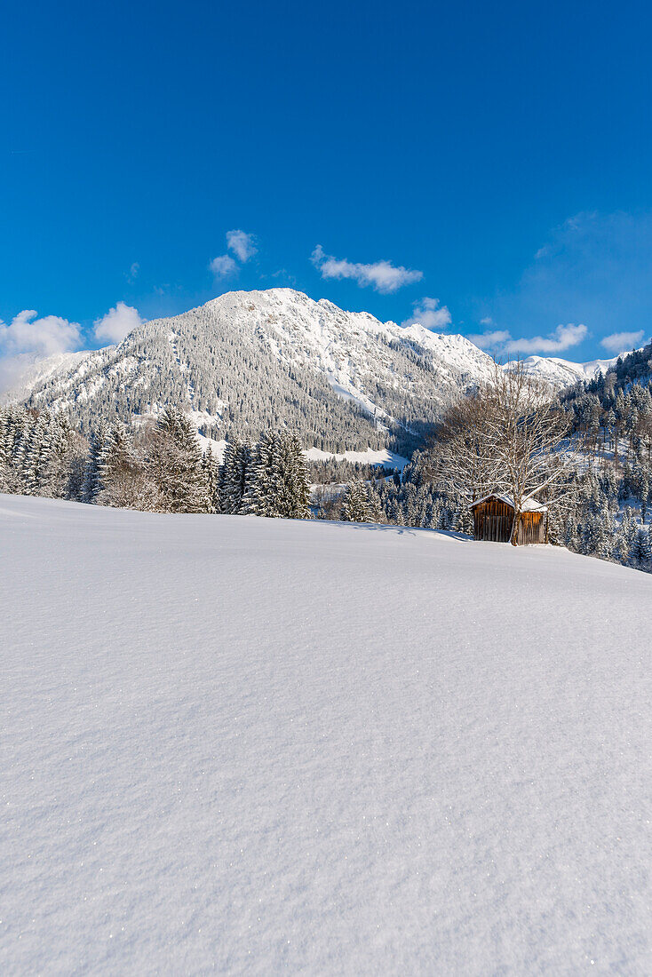 Schneelandschaft, dahinter Schattenberg, 1845m, Oberallgaeu, Allgaeu, Bayern, Deutschland, Europa