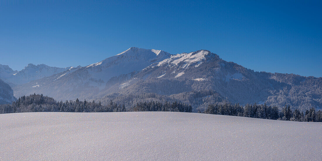 Fellhorn, 2038m, und Söllereck, 1706m, bei Oberstdorf, Oberallgäu, Bayern, Deutschland, Europa