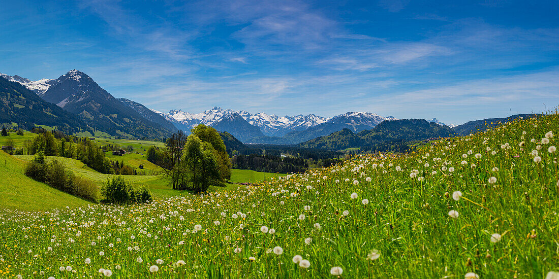 Panorama from the Malerwinkel into the Illertal, behind the Allgäu Alps, Oberallgäu, Bavaria, Germany, Europe