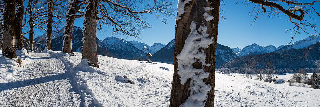 Winterwanderweg am Aussichtspunkt Hofmannsruh über Oberstdorf, Oberallgäu, Allgäu, Bayern, Deutschland, Europa