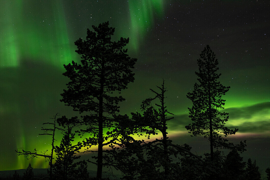 Aurora Borealis, Northern Lights, Muonio, Lapland, Finland