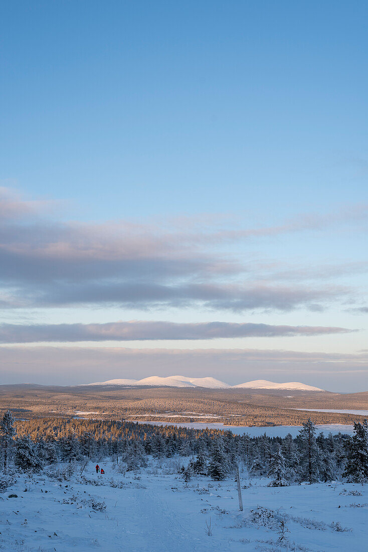 Verschneiter Wald, Särkitunturi, am Horizont der Pallastunturi, Muonio, Lappland, Finnland