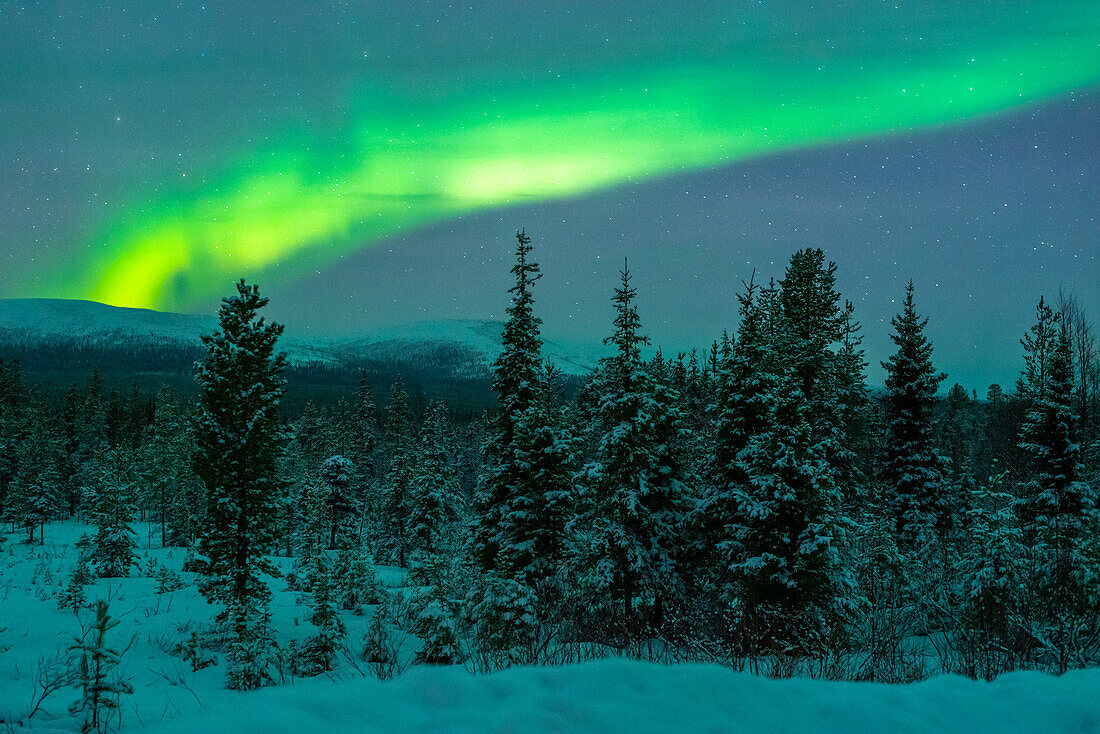 Polarlichter, Nordlichter, Nationalpark am Pallastunturi, Muonio, Lappland, Finnland