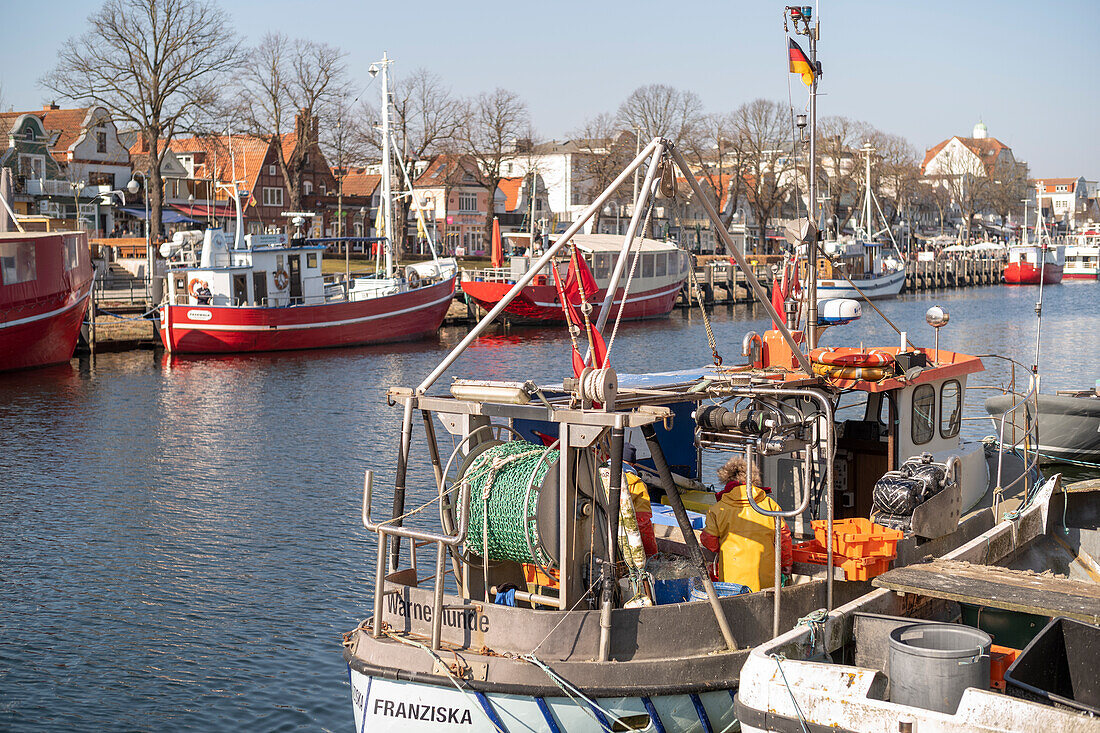 Fischerboote an der Mittelmole in Warnemünde am Morgen, Rostock, Mecklenburg-Vorpommern, Deutschland