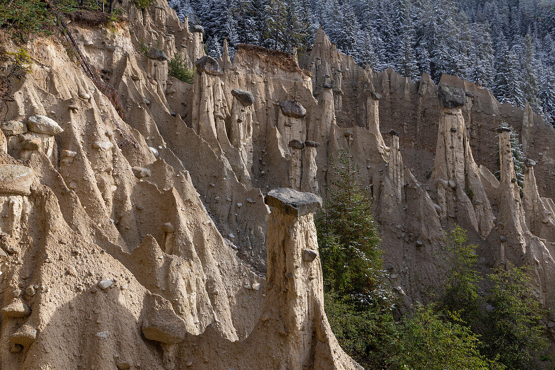Earth Pyramids Pelcha. Rock needles in the forest. Erosion. South Tyrol, Italy.