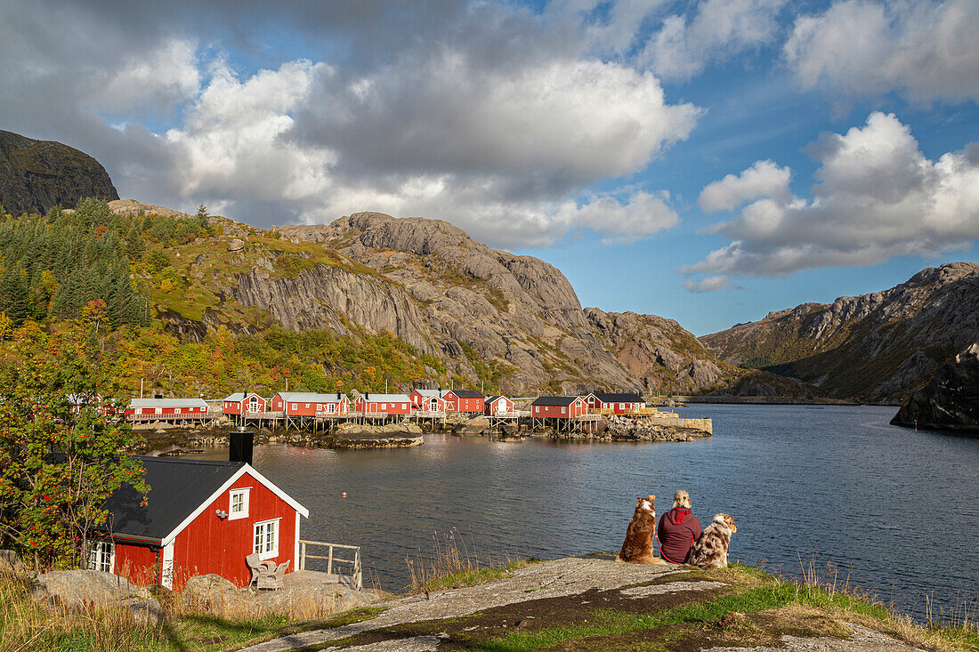 Frau sitzt mit Hunden am Ufer, blickt auf Rote Hütten am Fjord, Nusfjord, Flakstad, Lofoten, Norwegen.