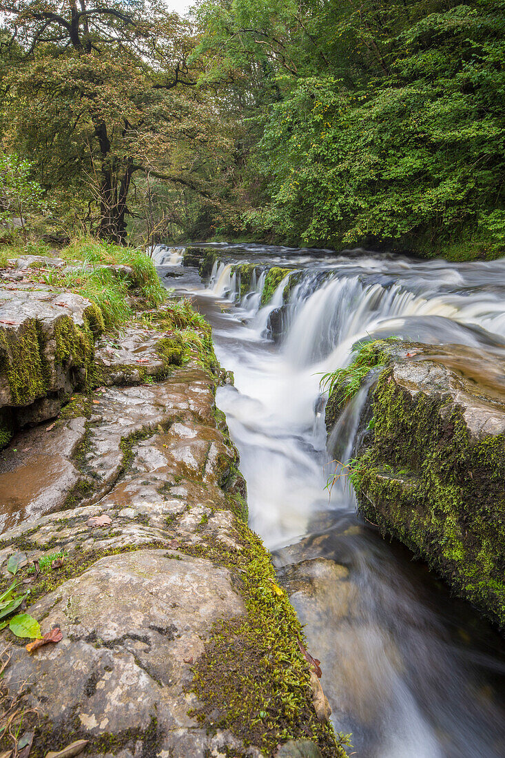 Kakade, Flusslauf im Wald. Sgwd y Pannwr, Wales.