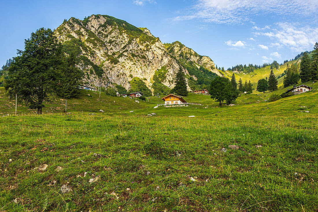 Several pastures on the way to the summit of the Geigelstein, also known as the Blumenberg. Schleching, Chiemgau Alps, Upper Bavaria, Bavaria, Germany, Europe