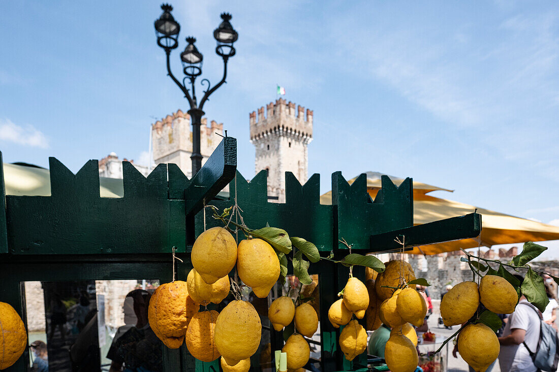 Blick auf Zitronen Verkaufsstand in Sirmione, Verona District, Venetien, Italien