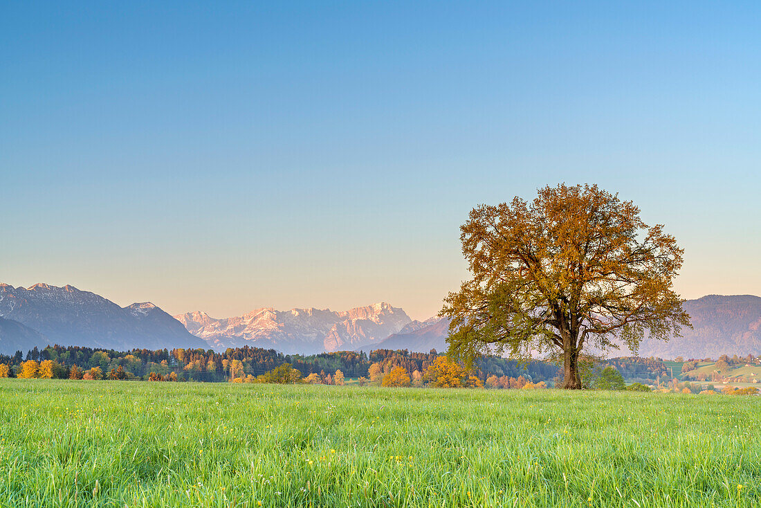 Blick zur Zugspitze, Riegsee, Oberbayern, Bayern, Deutschland