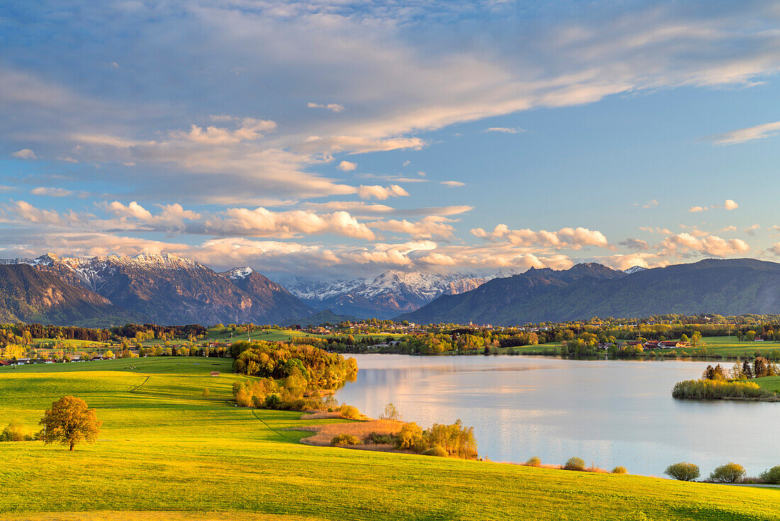 View over the Riegsee to the Bavarian Alps, Riegsee, Upper Bavaria, Bavaria, Germany