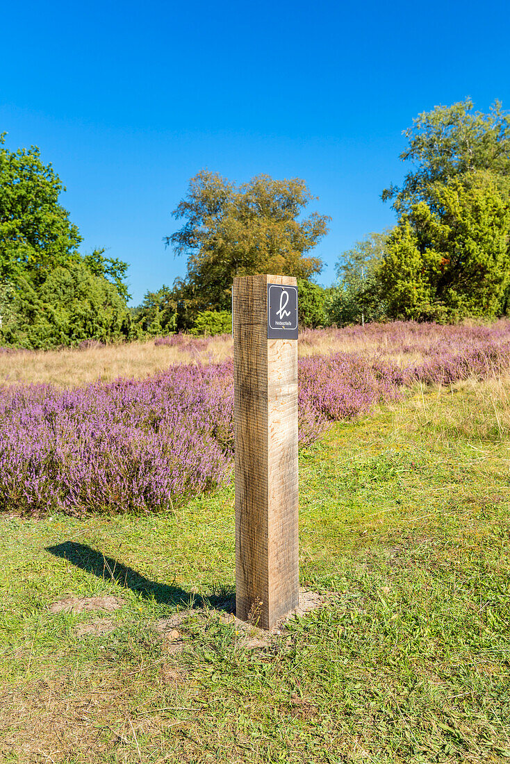 Wanderweg in der Lüneburger Heide, Bispingen, Niedersachsen, Deutschland