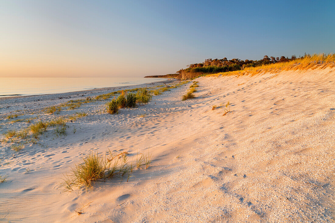 Weststrand bei Born, Fischland-Darß-Zingst, Mecklenburg-Vorpommern, Deutschland