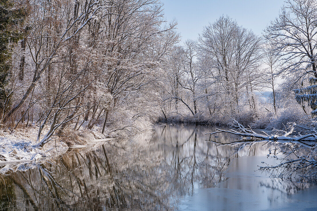 Winter morning at the backwater of the Ammer near Weilheim, Upper Bavaria, Germany, Europe