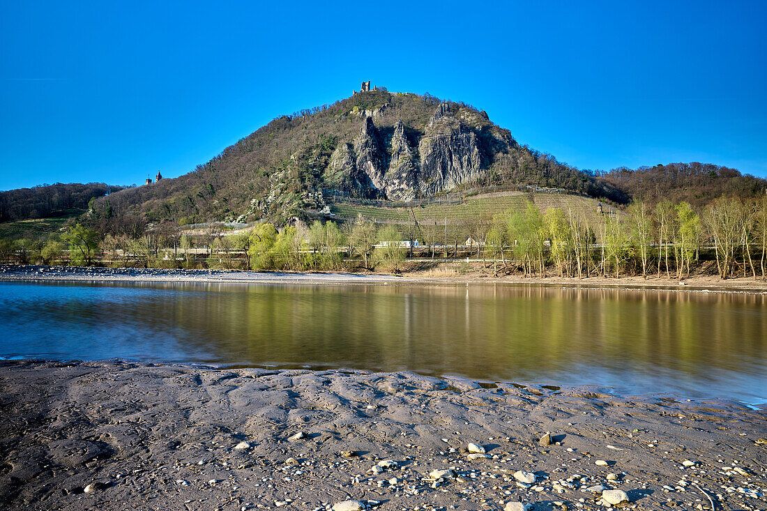 Blick vom Niedrigwasser führenden Rhein auf den Drachenfels, einen berühmten Hügel mit Weingütern, historischer Zahnradbahn und den Ruinen einer mittelalterlichen Burg, Königswinter, NRW, Deutschland