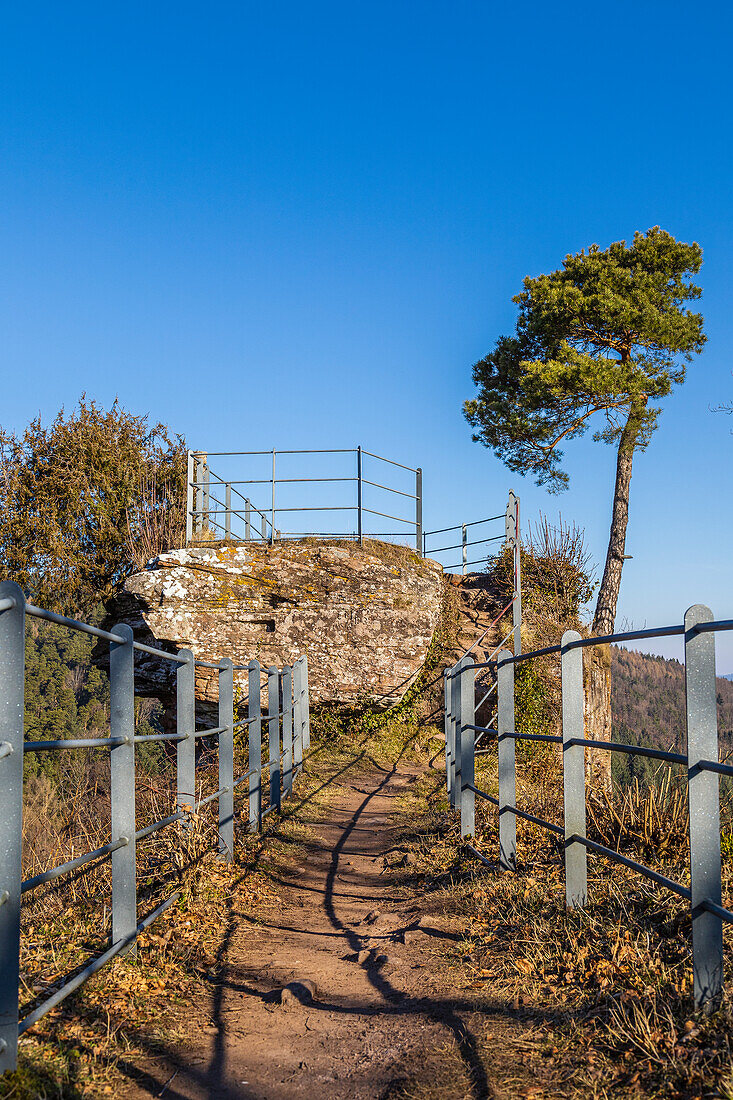 Guttenberg Castle Ruins near Schweigen-Rechtenbach, Palatinate Forest, Southern Wine Route, Rhineland-Palatinate, Germany, Europe