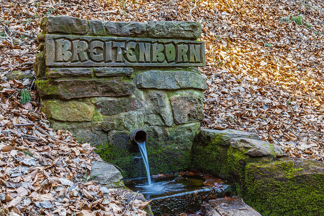 Source of Breitenborn in the Palatinate Forest, Schweigen-Rechtenbach, Southern Wine Route, Rhineland-Palatinate, Germany, Europe