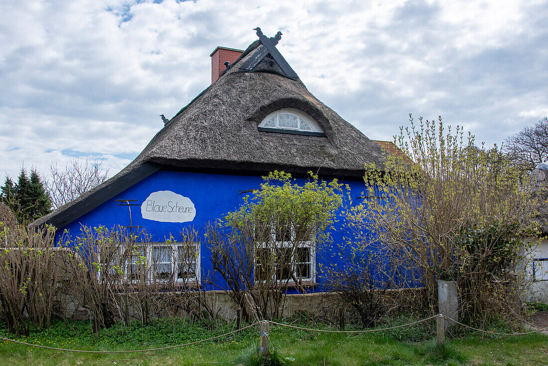 Blue barn, 19th century thatched house, Hiddensee Island, Vitte, Mecklenburg-West Pomerania, Germany