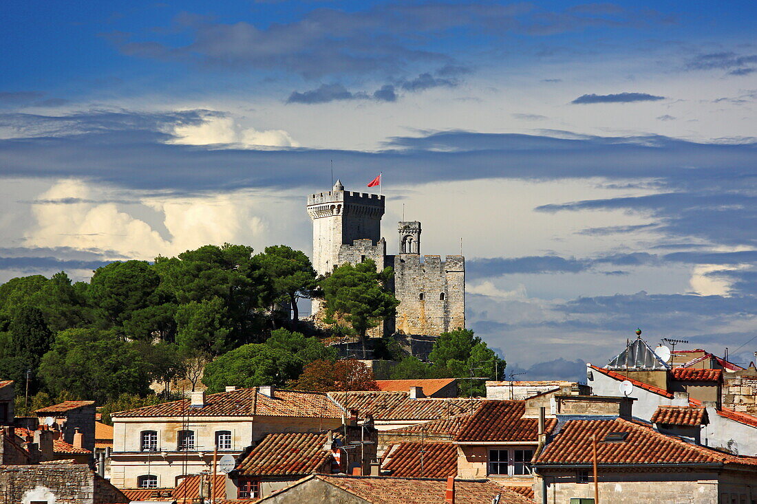 Beaucaire Castle ruins, Bouche-du-Rhone, Provence-Alpes-Cote d'Azur, France