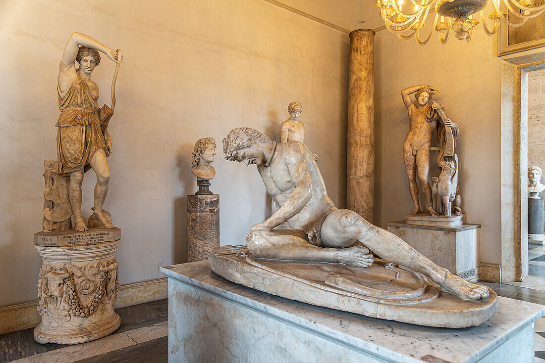 Statue of the Capitoline Gaul in the Capitoline Museum, Palazzo dei Conservatori, Rome, Lazio, Italy, Europe