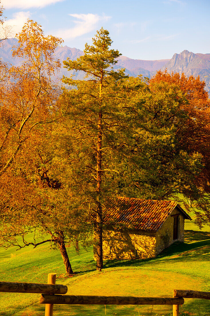 Baum und Haus auf dem Feld mit Blick auf die Berge im Herbst in der Lombardei, Italien