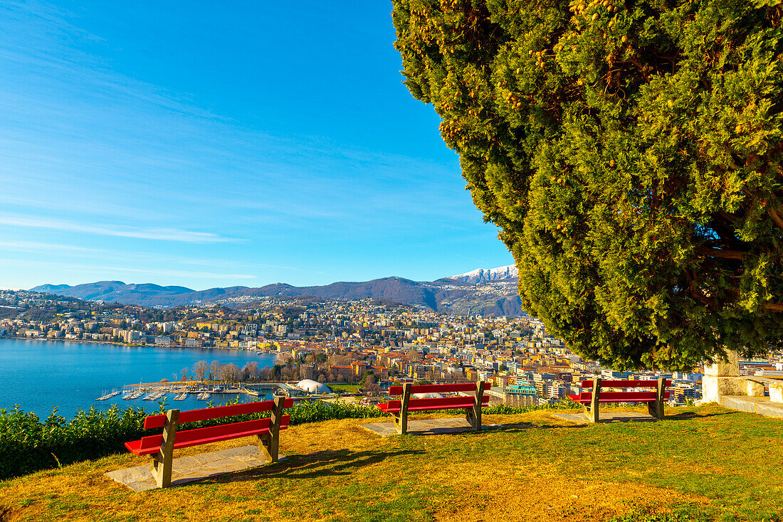 Bench and Cypress Tree and Lake Lugano and City with Mountain and Blue Sky in Park San Michele in Castagnola in Lugano, Ticino in Switzerland.