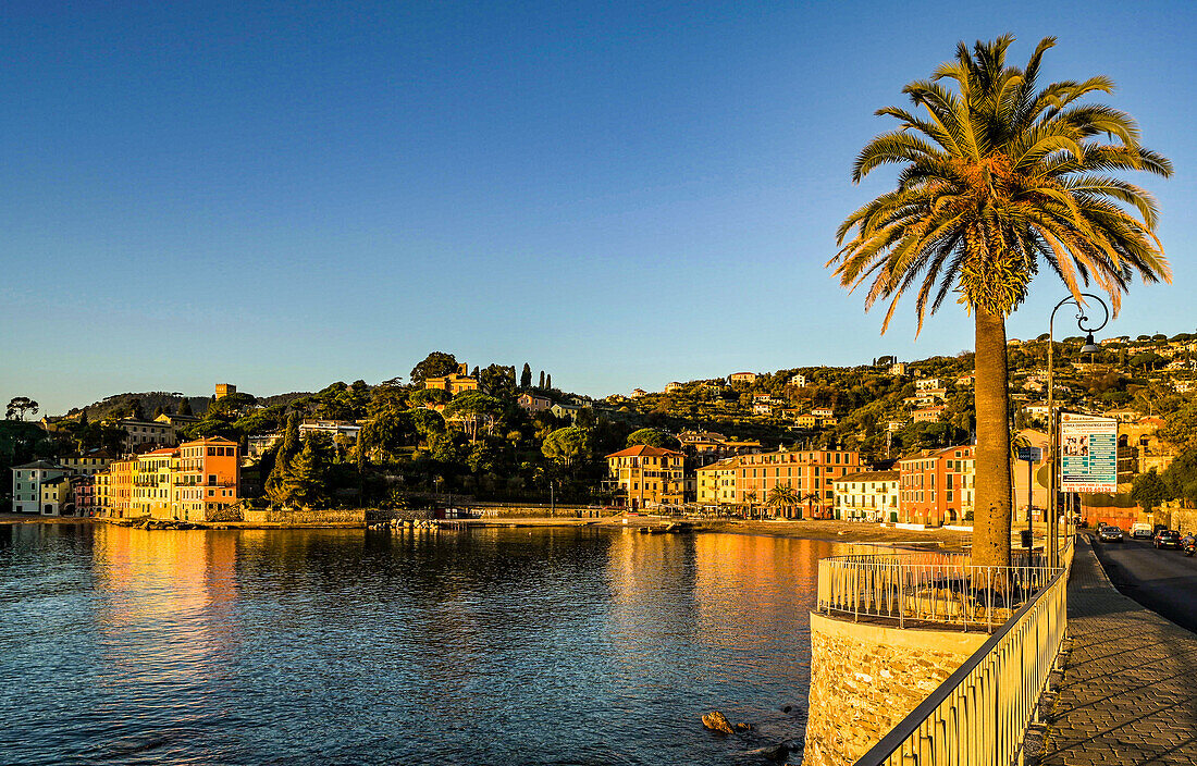 San Michele di Pagana in the morning light, Liguria; Levantine Riviera, Italy