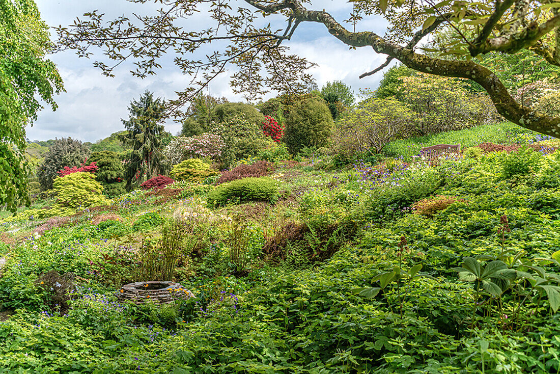Sommergarten im "The Garden House", Yelverton, Devon, England