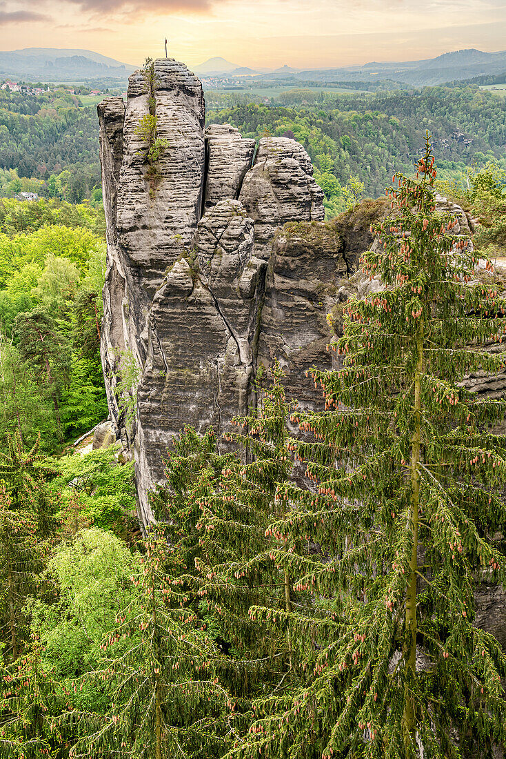 Lamm-Felsformation an der Bastei, Sächsische Schweiz, Sachsen, Deutschland