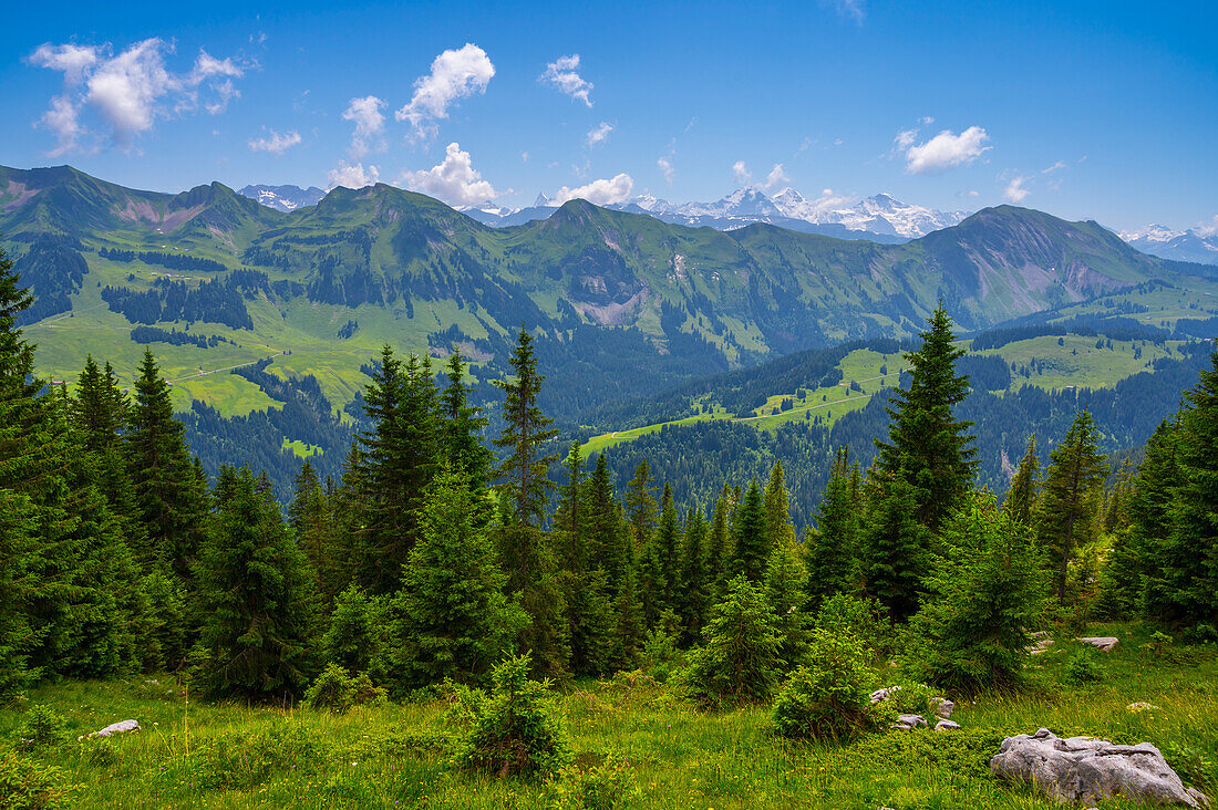 Blick zur Brienzer Rothorngruppe mit Berner Alpen, Kanton Bern, Schweiz