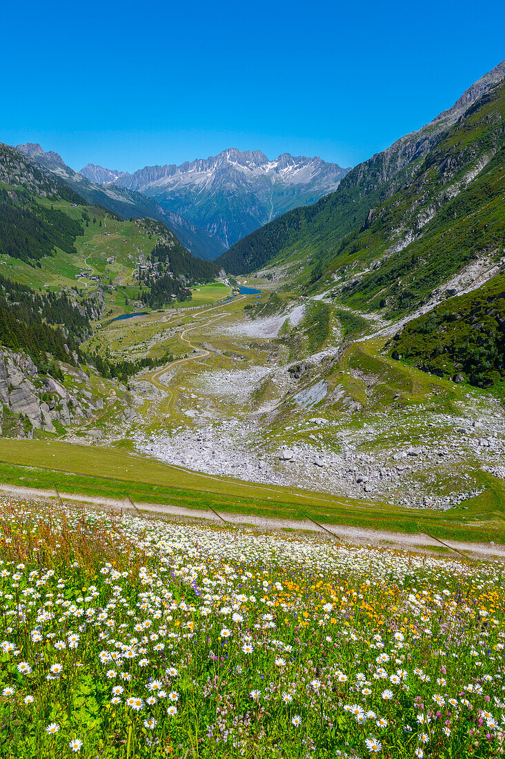Blick vom Staudamm des Göscheneralpsee zur Göschener Alp, Urner Alpen, Kanton Uri, Schweiz
