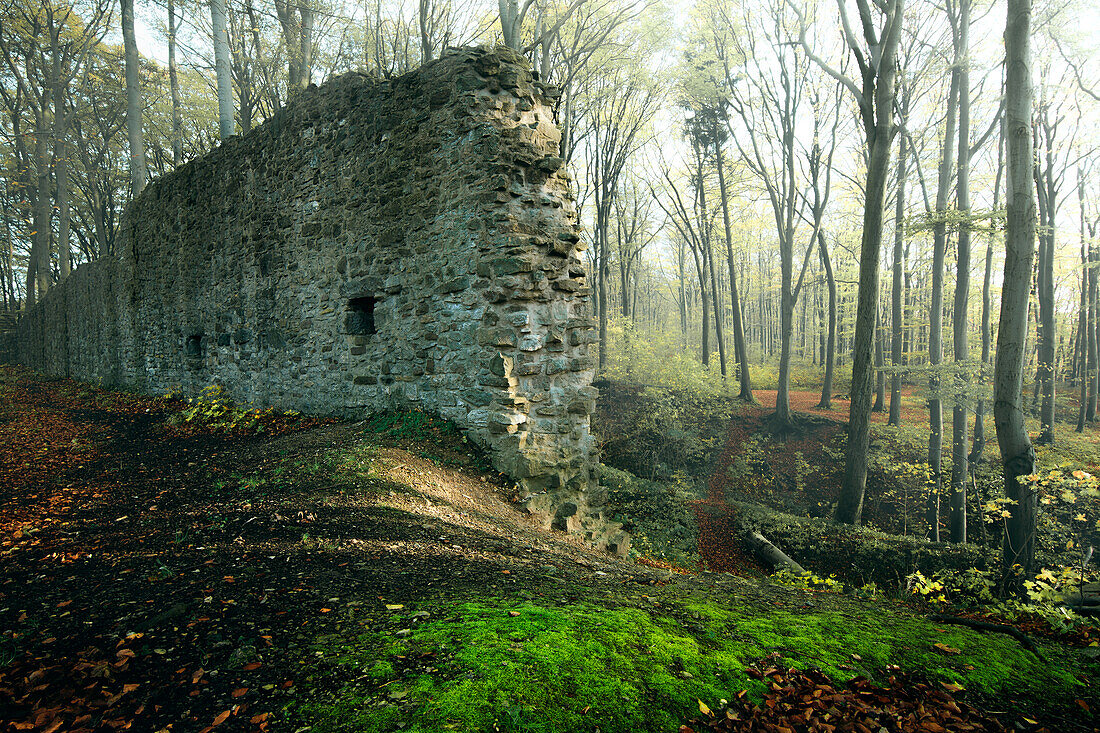 The old castle ruins of Landeck near Schenklengsfeld, Hesse, Germany