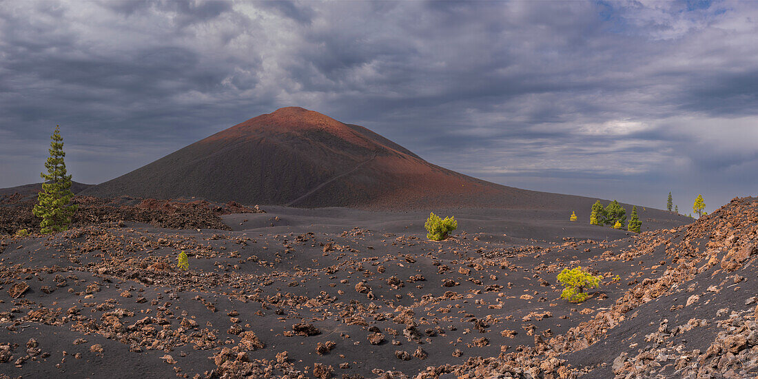 Vulkan Chinyero, Zone Arena Negras, Nationalpark Teide, Teneriffa, Kanarische Inseln, Spanien, Europa