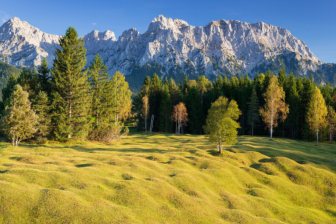 Buckelwiesen between Mittenwald and Krün, Werdenfelser Land, behind them the Karwendel Mountains, Upper Bavaria, Bavaria, Europe