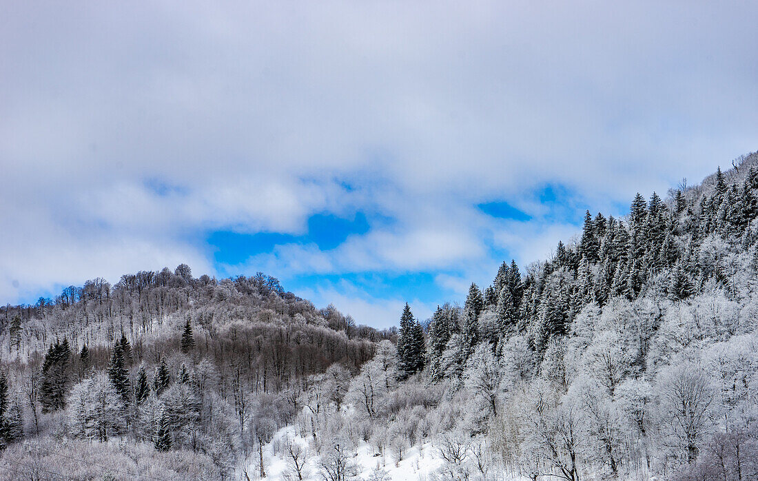 Covered with snow Caucasus mountain in Bakuriani resort, Georgia