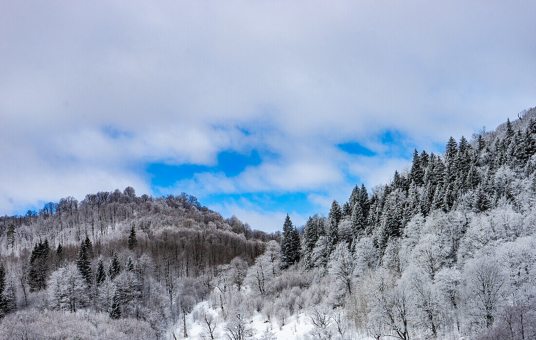 Skigebiet und Erholungsort Bakuriani, Kaukasus im Winter, Georgien