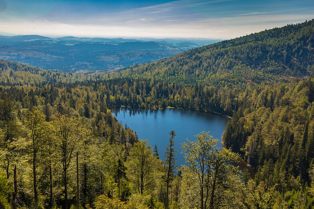 View of the Rachelsee from the Rachel,Bavarian Forest,Lower Bavaria,Bavaria,Germany