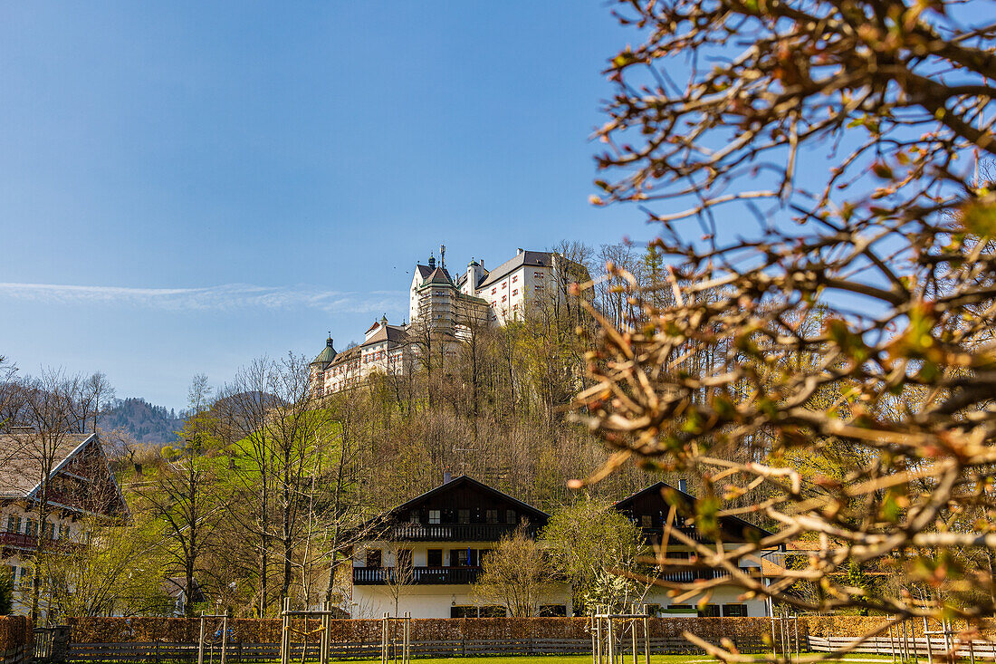 View of Hohenauschau Castle from below. Foreground out of focus. Chiemgau, Upper Bavaria, Bavaria, Germany