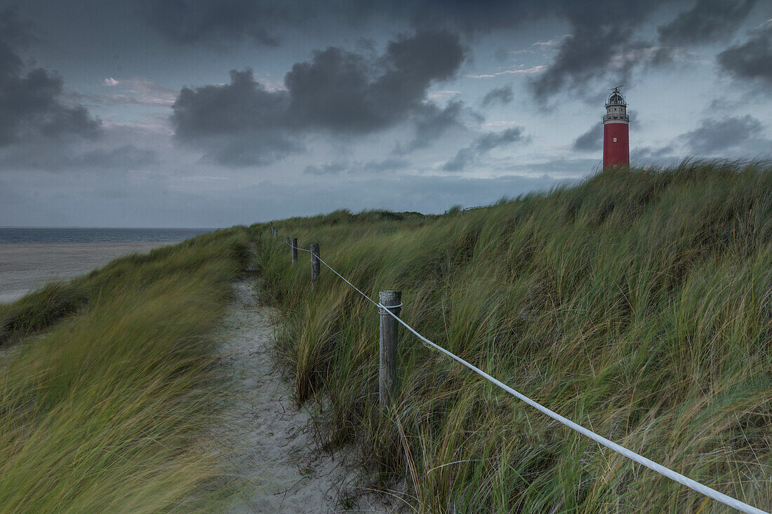 Vuurtoren Texel lighthouse, path through dunes. De Cocksdorp, North Holland, The Netherlands