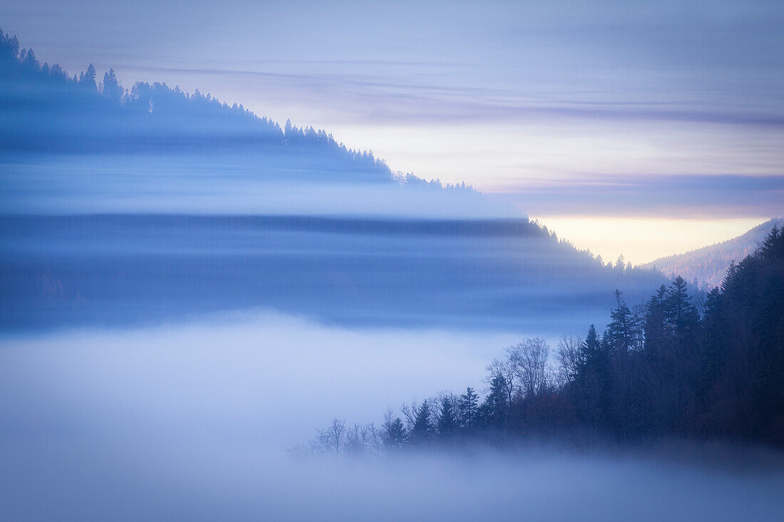 Forested hills and valleys in the fog. Evening atmosphere. Black Forest, Badenwurtenberg, Germany.