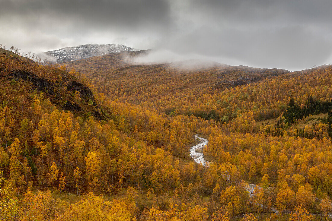 Flusslauf in herbstlicher Landschaft, Wald, Senja, Norwegen. Tiefhängende Wolken.