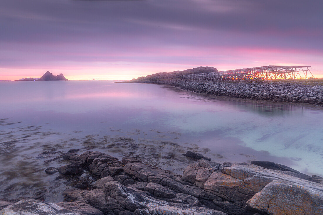 Felsküste am Strand von Fjaervollsanden. Trockenfisch Gestelle, Sonnenuntergang, Gimstad, Nordland, Norwegen.