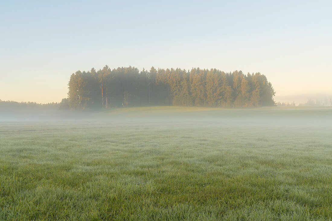 Moody foggy morning near Bernried in September, Bavaria Germany